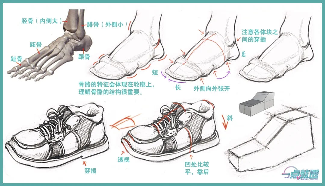 广州美术艺考画室速写基础练习教程 | 2-3-3.脚部作画