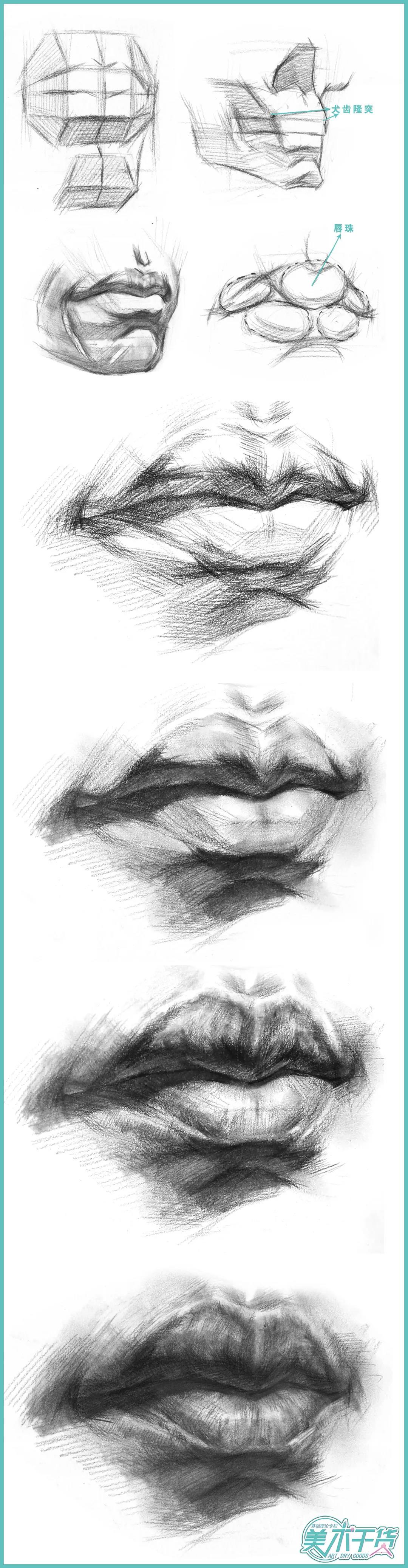素描半身像想画好一张嘴你对嘴巴的结构足够清楚吗